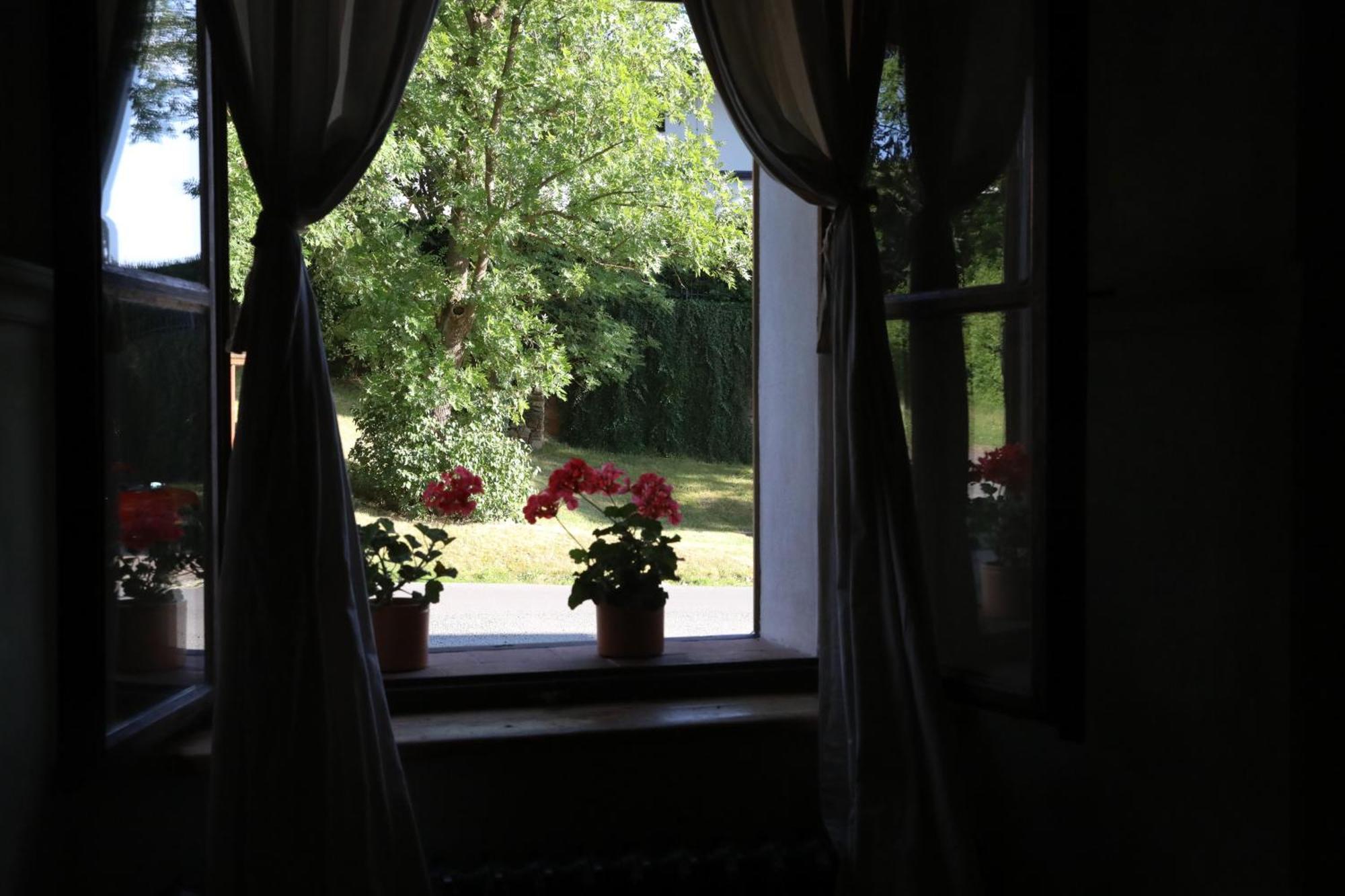Appartement Historicke Zelenohorska Posta